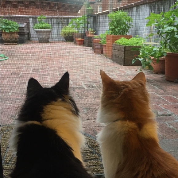 Meet your Posher, Danielle - Picture 2 of 7